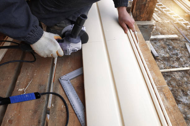 Best Storm Damage Siding Repair  in Flandreau, SD